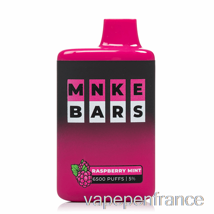 Mnke Bars 6500 Stylo Vape Jetable Framboise Menthe